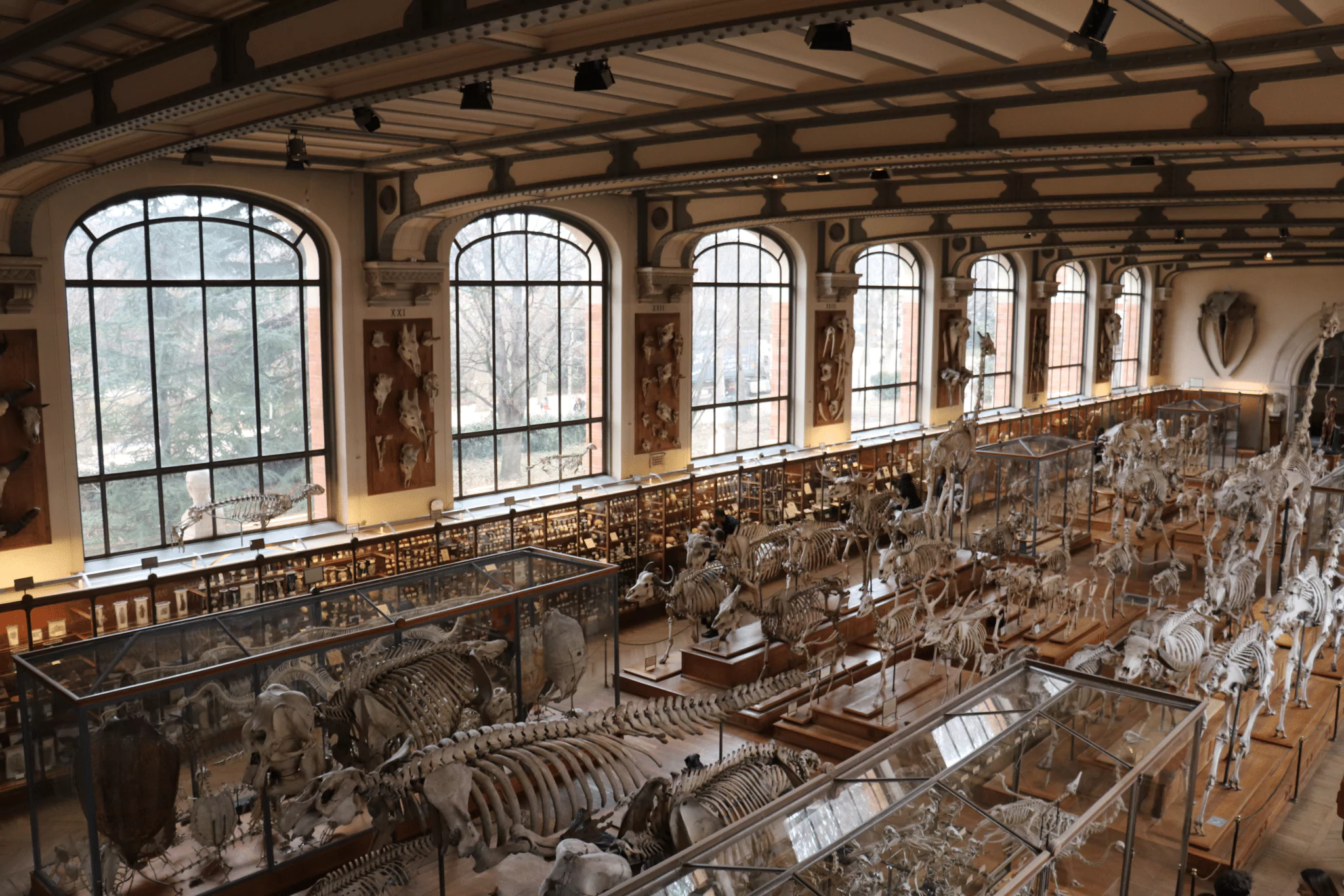 galerielvl1
